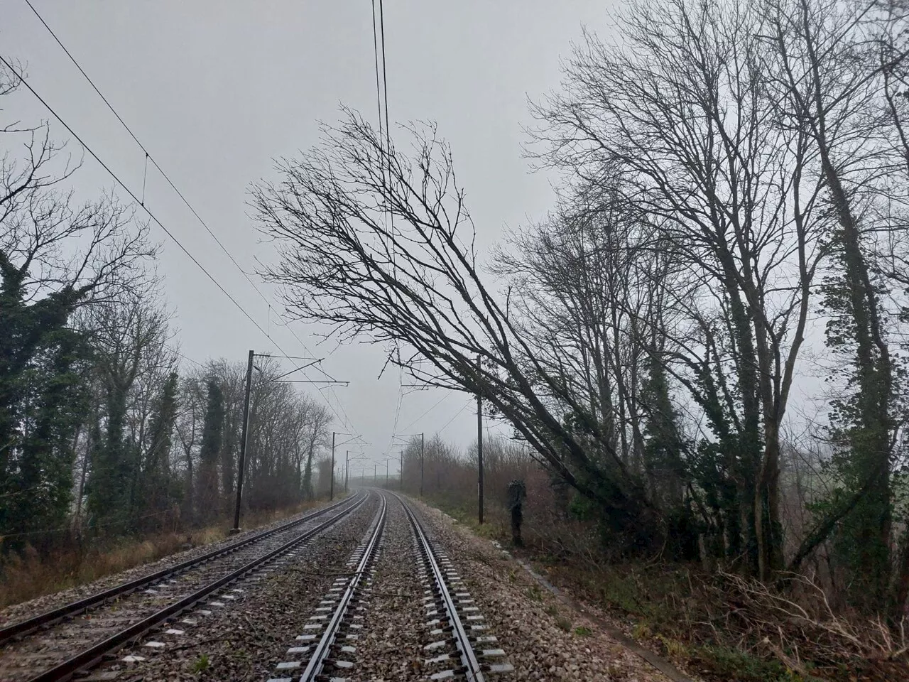 Tempête Darragh : la circulation des trains ne reprendra pas ce lundi entre Rouen et Le Havre