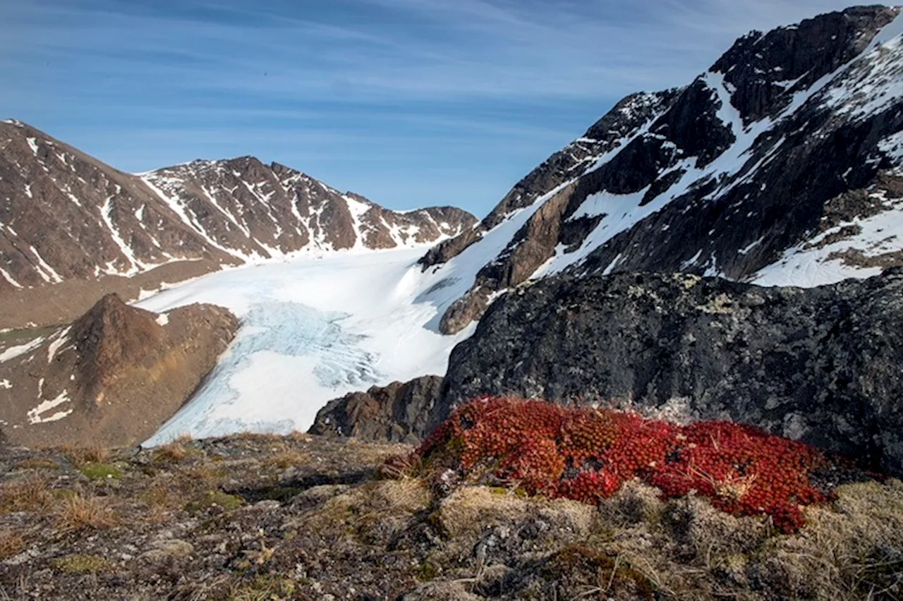 Groenlandia, i ghiacciai montani stanno fondendo