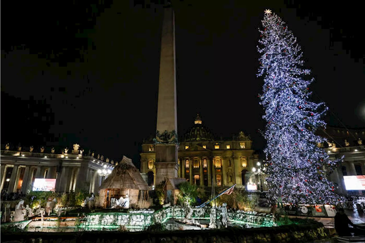 Inaugurato il presepe e illuminato l'albero a Piazza S.Pietro