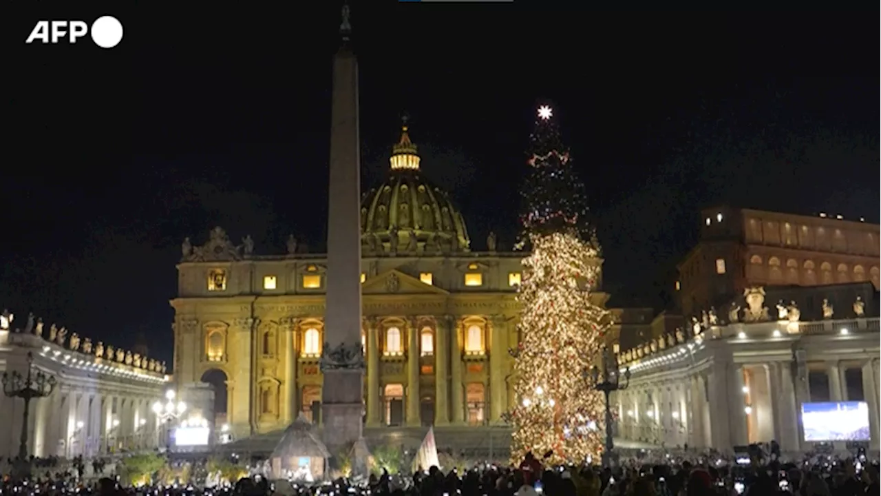 Vaticano, accesi albero di Natale e presepe in Piazza San Pietro