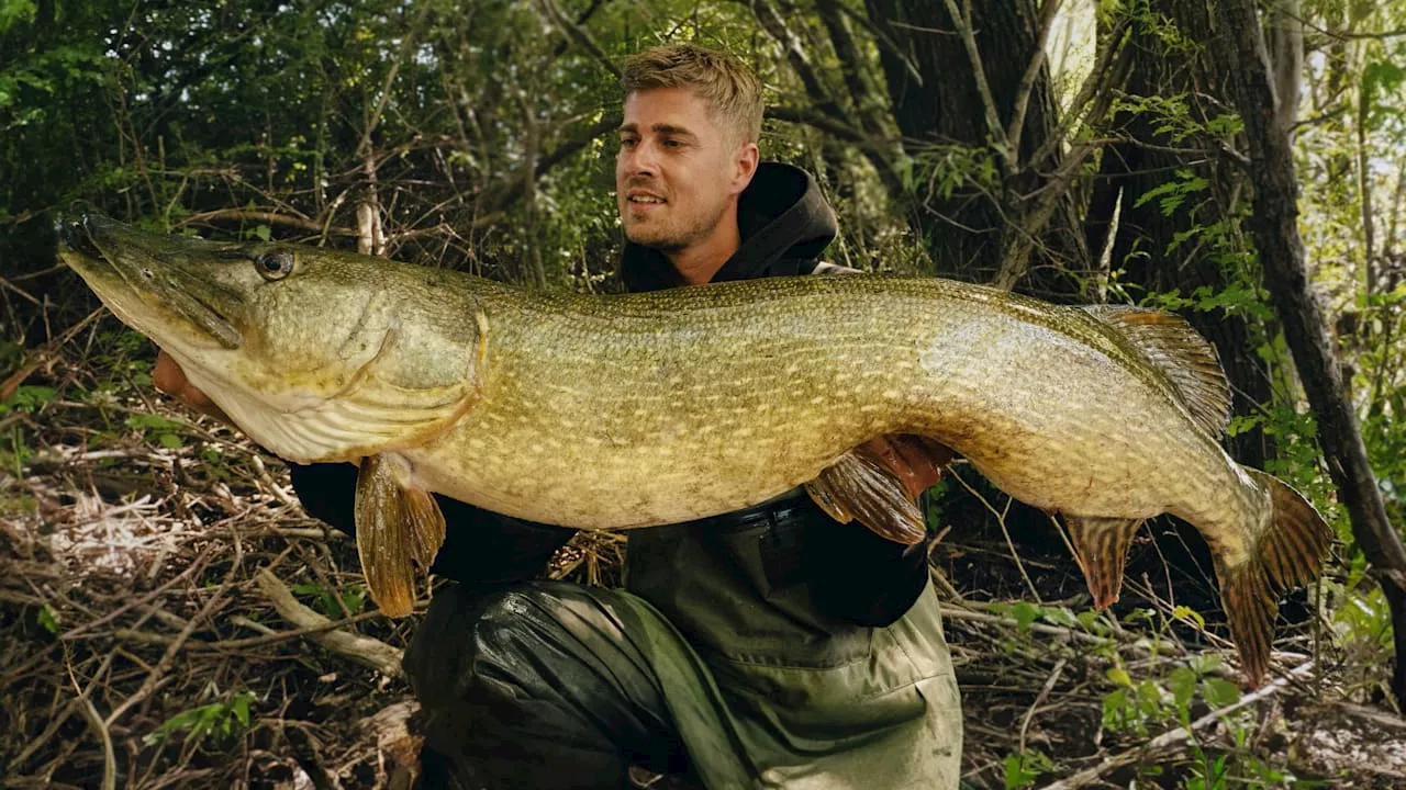 Angeln: Sie fangen riesige Fische! Angel-Profis geben DIESE Tipps