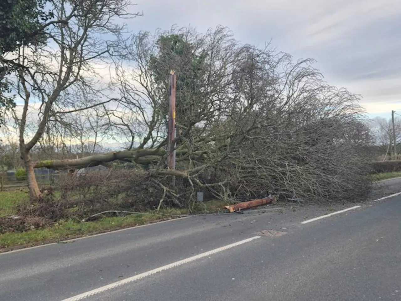 Euxton power cut as Storm Darragh fells tree on power line