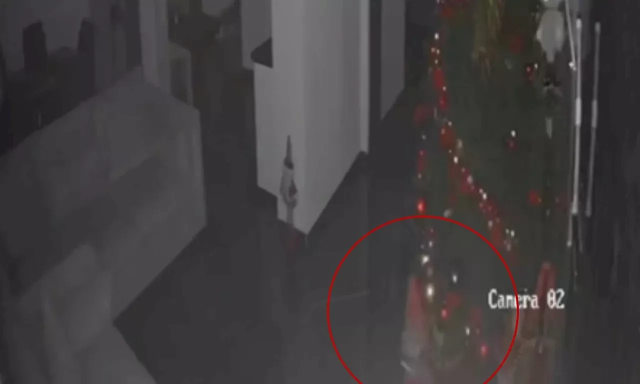 Captó supuesto fantasma entre sus decoraciones de Navidad y video es impactante