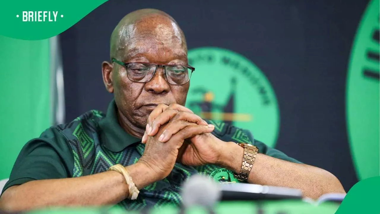 Jacob Zuma Criticises MK Party Members for Infighting, South Africans Accuse Him of Doing the Same