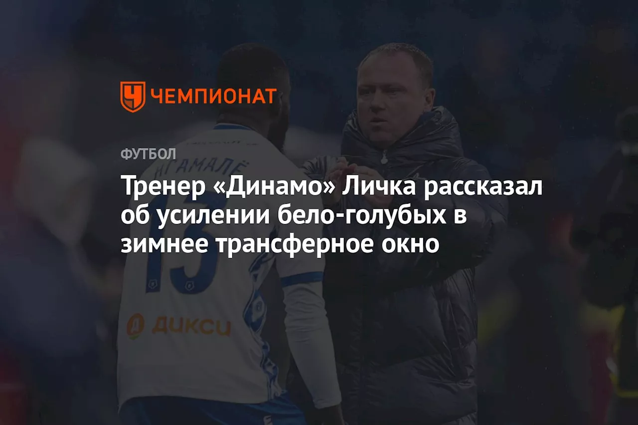 Тренер «Динамо» Личка рассказал об усилении бело-голубых в зимнее трансферное окно