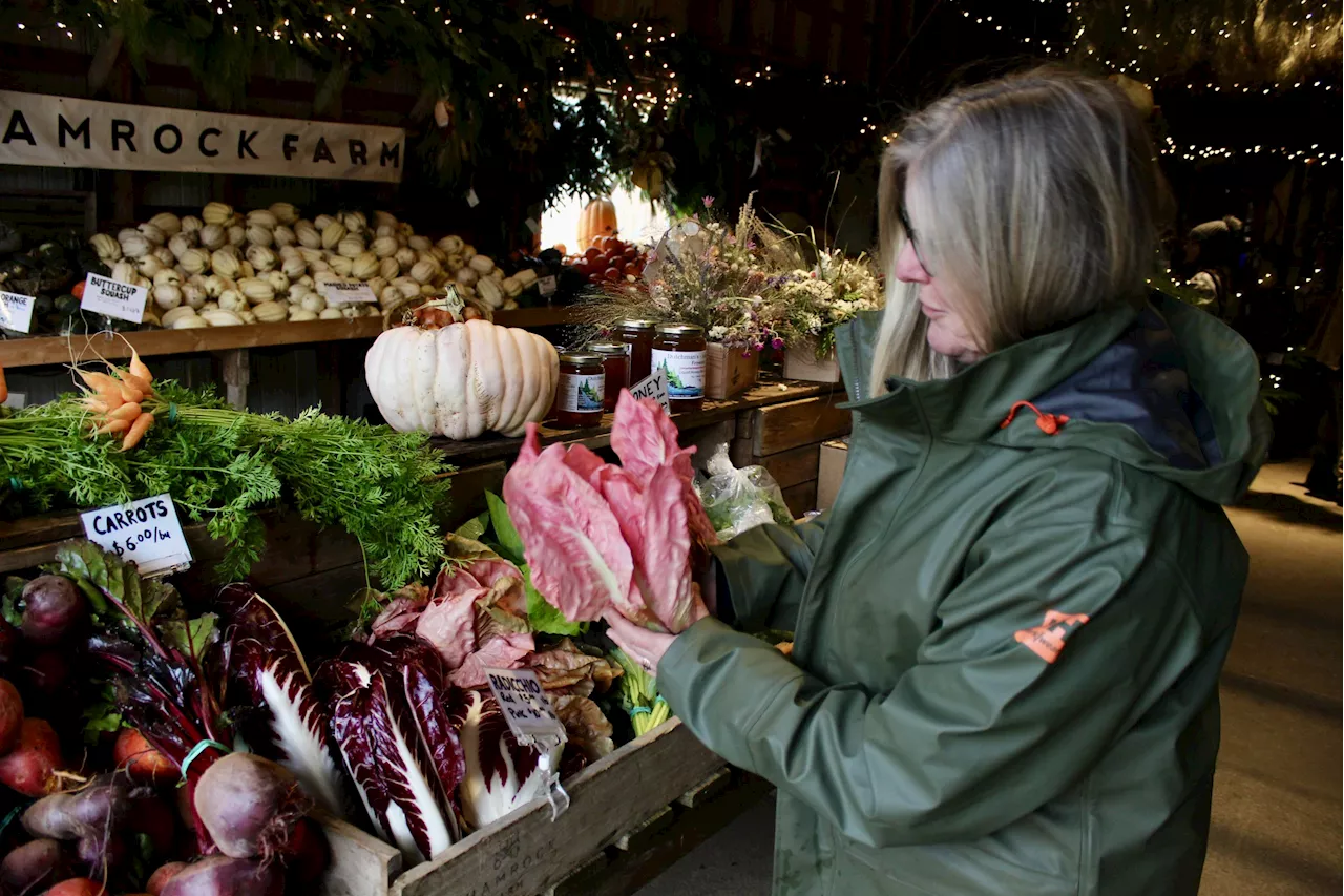 ‘It keeps going’: How Shamrock Farm keeps growing, one experiment at at time