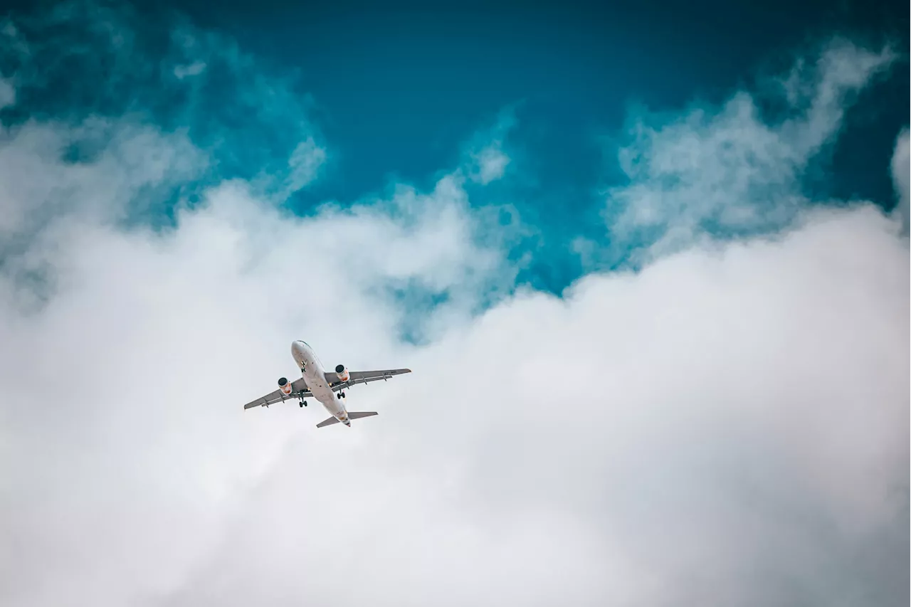 Un avion de ligne heurte un oiseau peu après le décollage, les images font peur