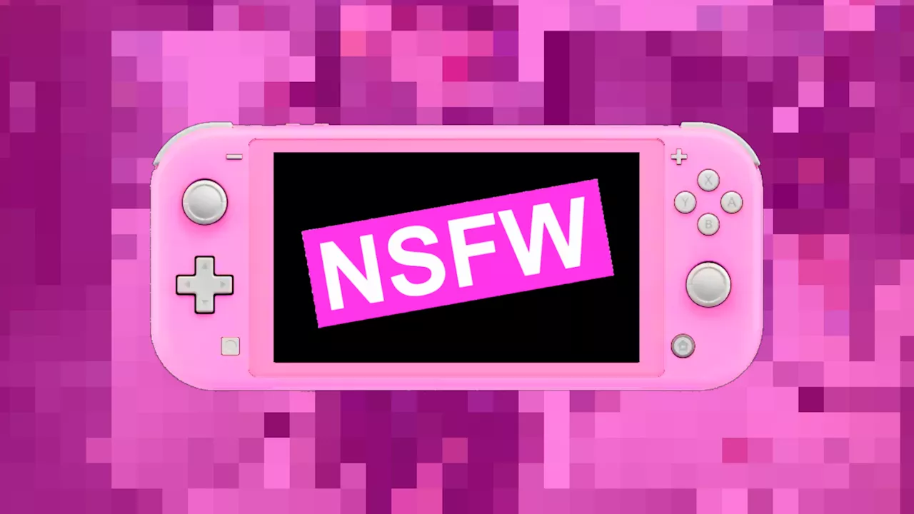 Nintendo Switch Fans Slam Nintendo Over NSFW Issue With Console