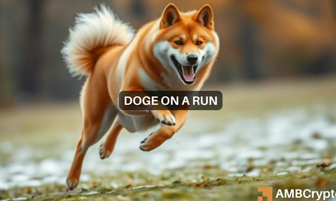 Dogecoin rides Bitcoin’s rally to set a short-term target