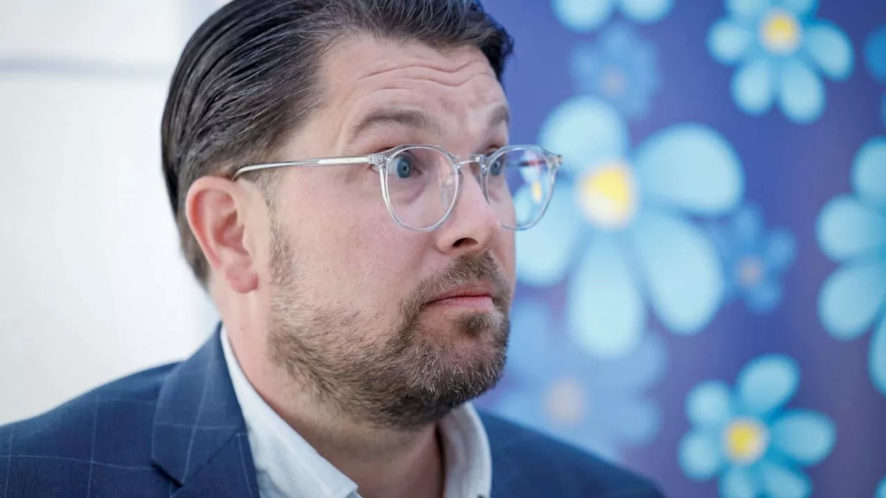 Åkesson: Ompröva uppehållstillstånd för syrier