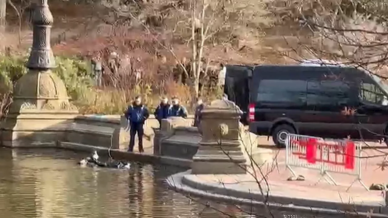 Police divers search Central Park lake as New York mayor says 'net is tightening' on Brian...