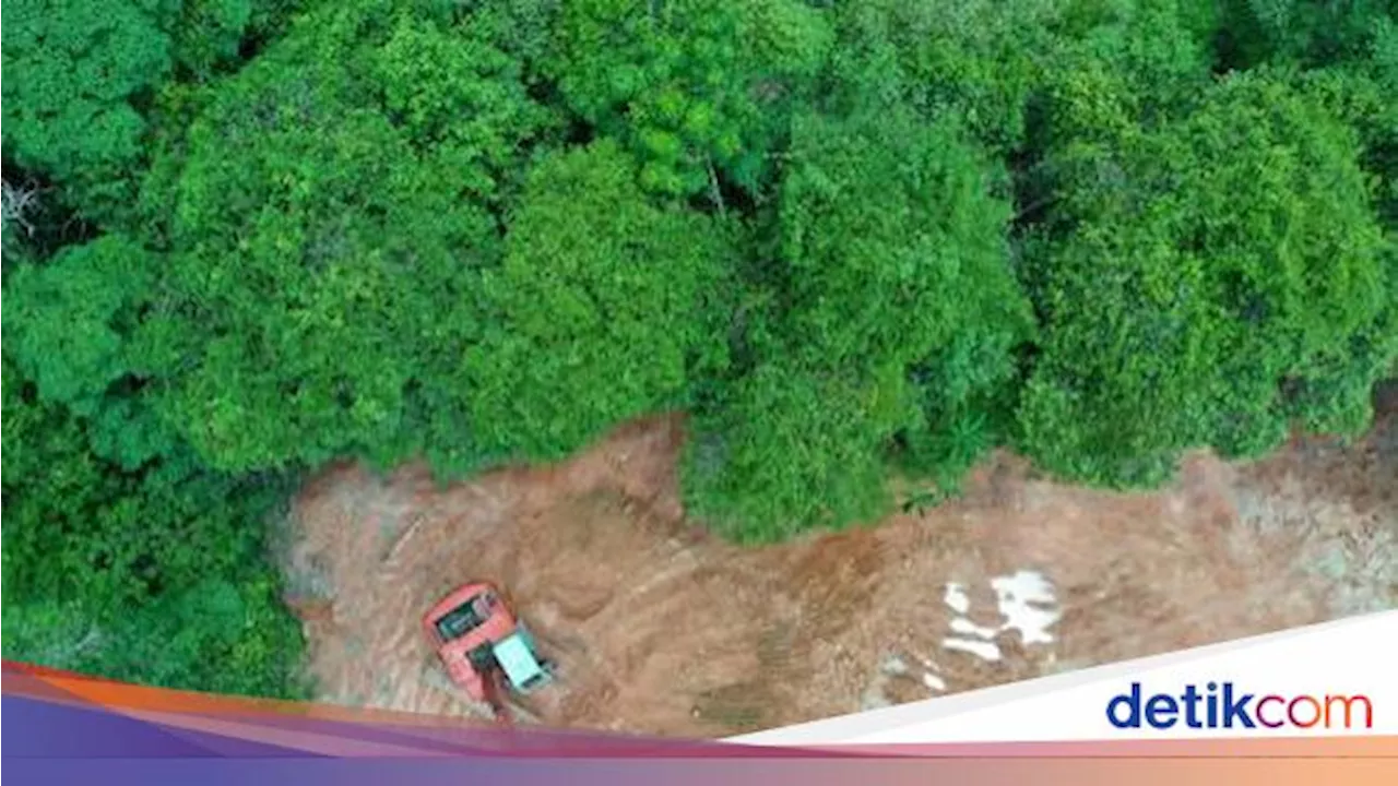 Ilmuwan Ingatkan Biaya Penanganan Perubahan Iklim Akan Terus Meningkat