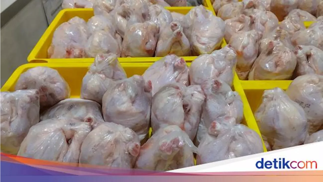 Ayam Broiler Banting Harga di Transmart Full Day Sale, Jadi Murah Banget!