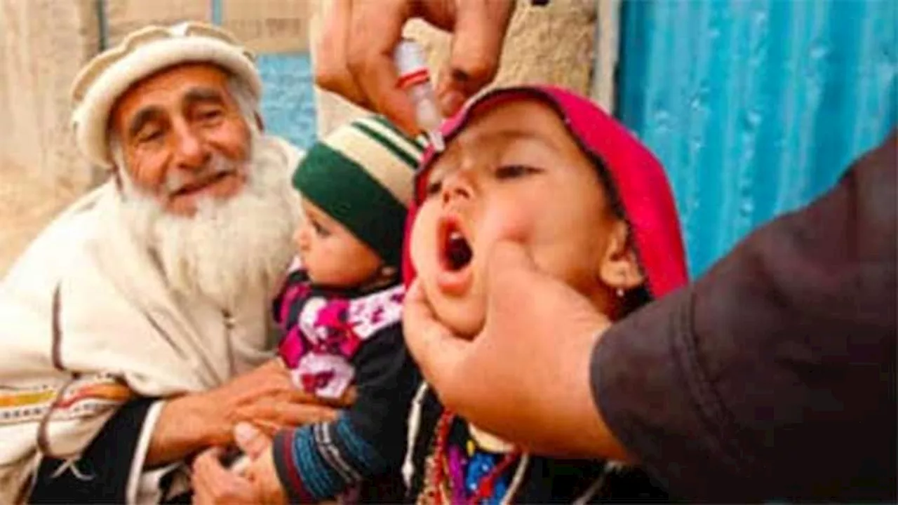 Three new polio cases reported, tally reaches 59 for 2024