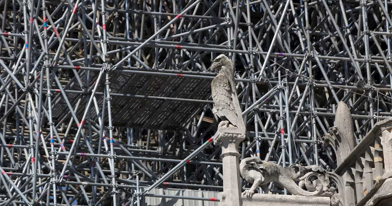 Notre-Dame-Eröffnung: Archäologen entdecken 1035 Artefakte unter der Kathedrale