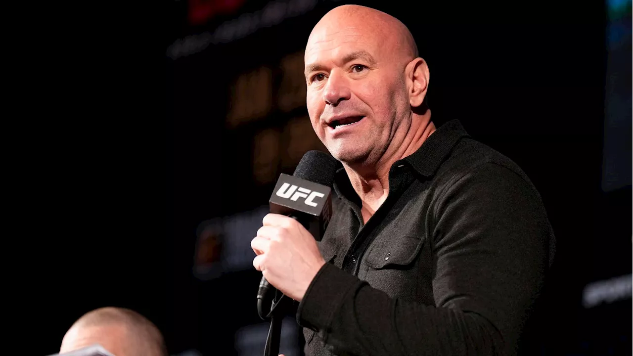 Dana White Tells 3 UFC Veterans, ‘They Should All Retire Tonight’