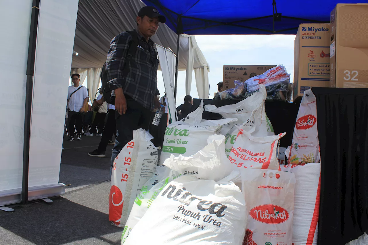 Agar Penyerapan Pupuk Subsidi Optimal, Petani Cirebon Minta Distribusi Tepat Waktu