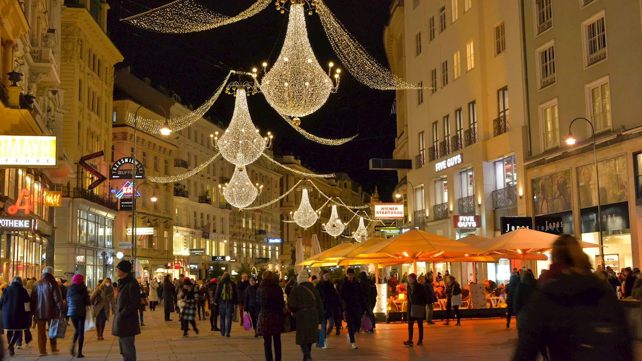  Achtung! Diebes-Bande in der Wiener City unterwegs