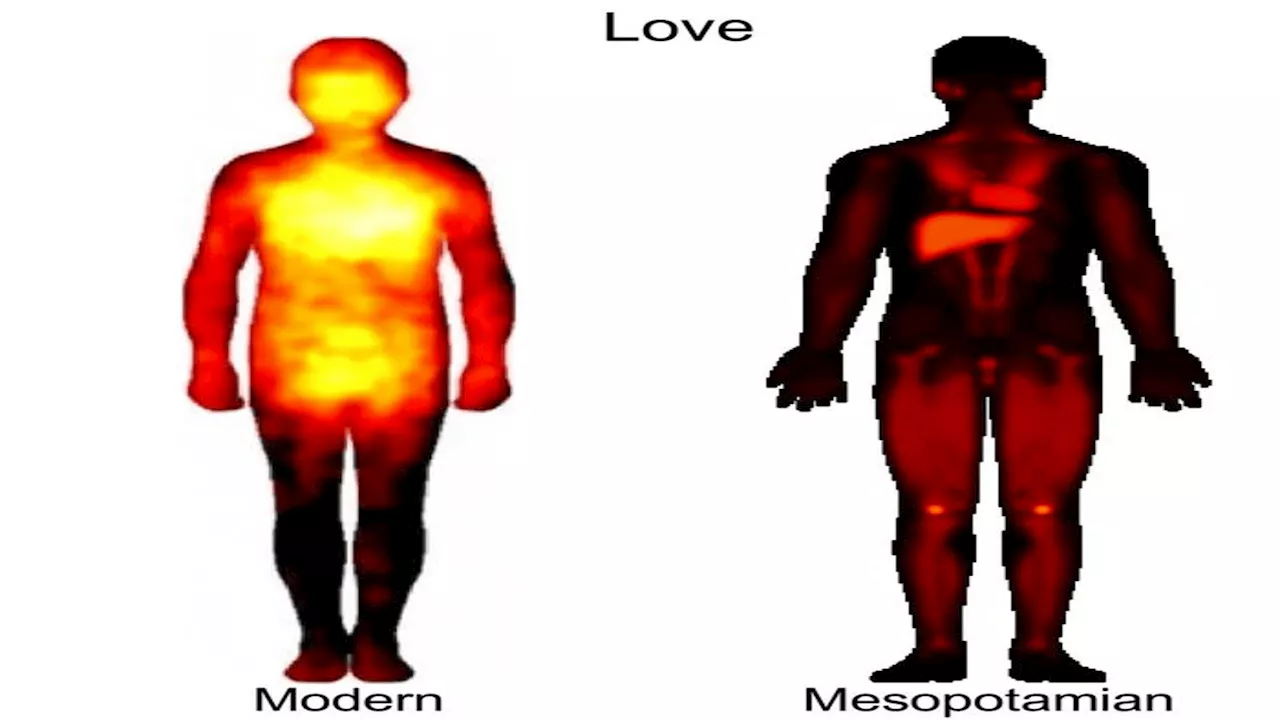 Love in liver and anger in feet: This is how ancient Mesopotamians felt emotions