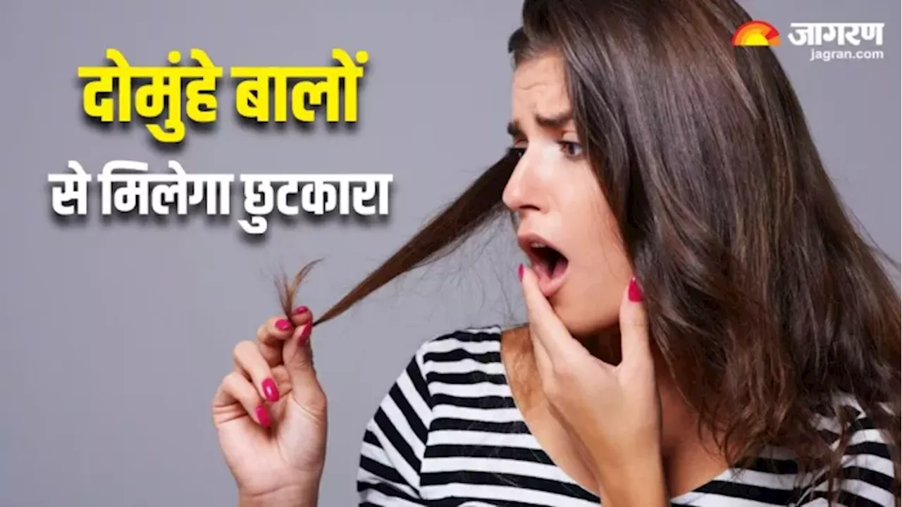 दोमुंहे बालों की समस्या से छुटकारा दिलाएंगे 8 घरेलू उपाय, स्ट्रांग और Shiny Hair का सपना भी होगा पूरा