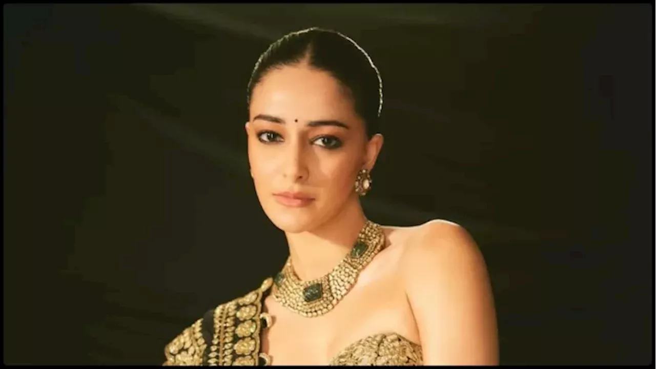 मेल स्टार्स की फीस जानकर दंग रह गई थीं Ananya Panday, हीरोइन से ज्यादा सैलरी लेने वालों पर तोड़ी चुप्पी