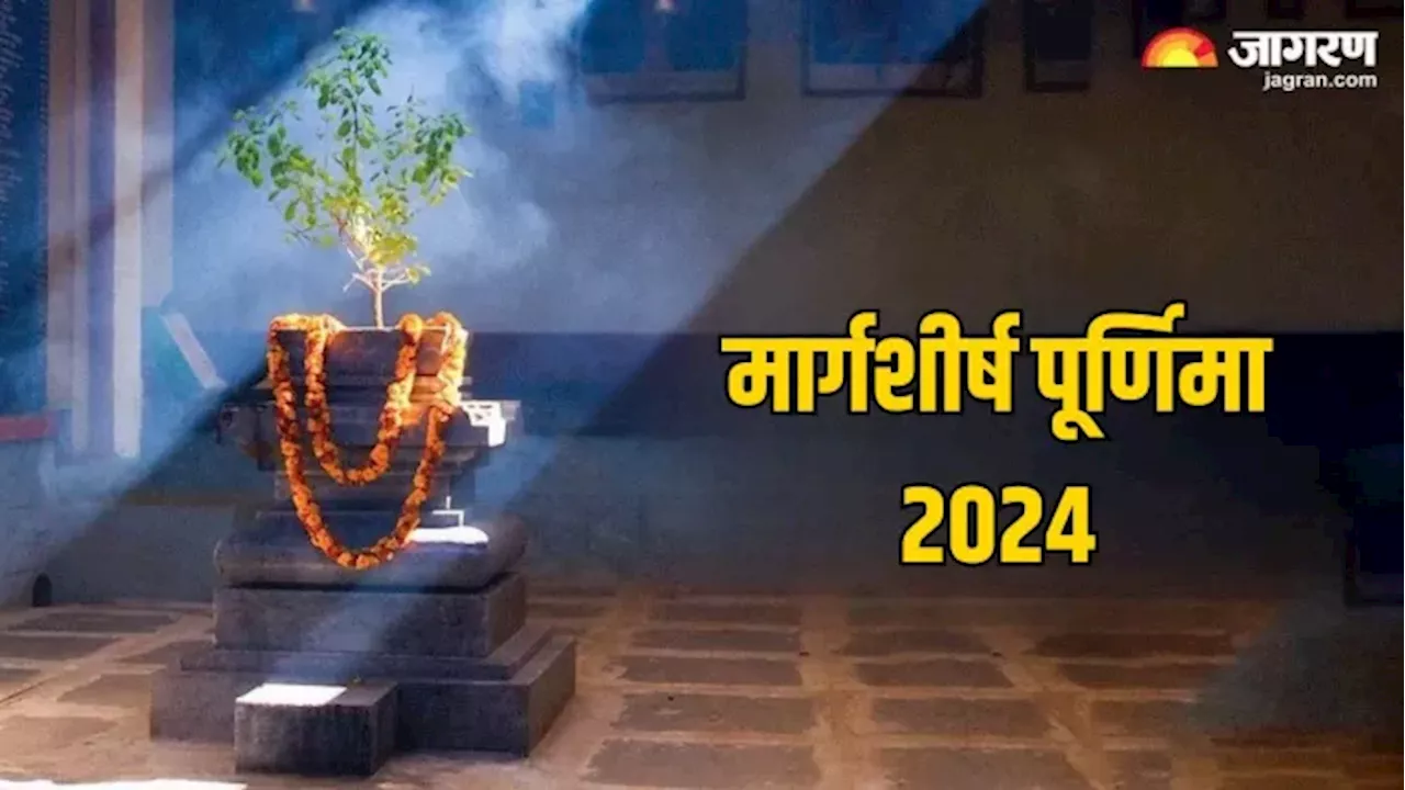 Margashirsha Purnima 2024: मार्गशीर्ष पूर्णिमा पर करें मां तुलसी की पूजा, आर्थिक तंगी से मिलेगा छुटकारा