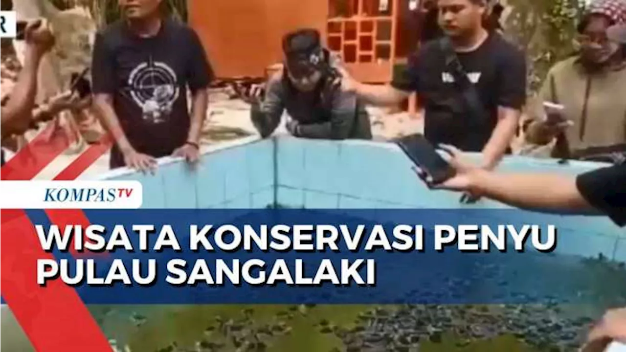 Pulau Sangalaki, Surga Konservasi Penyu dan Pesona Alam yang Memikat