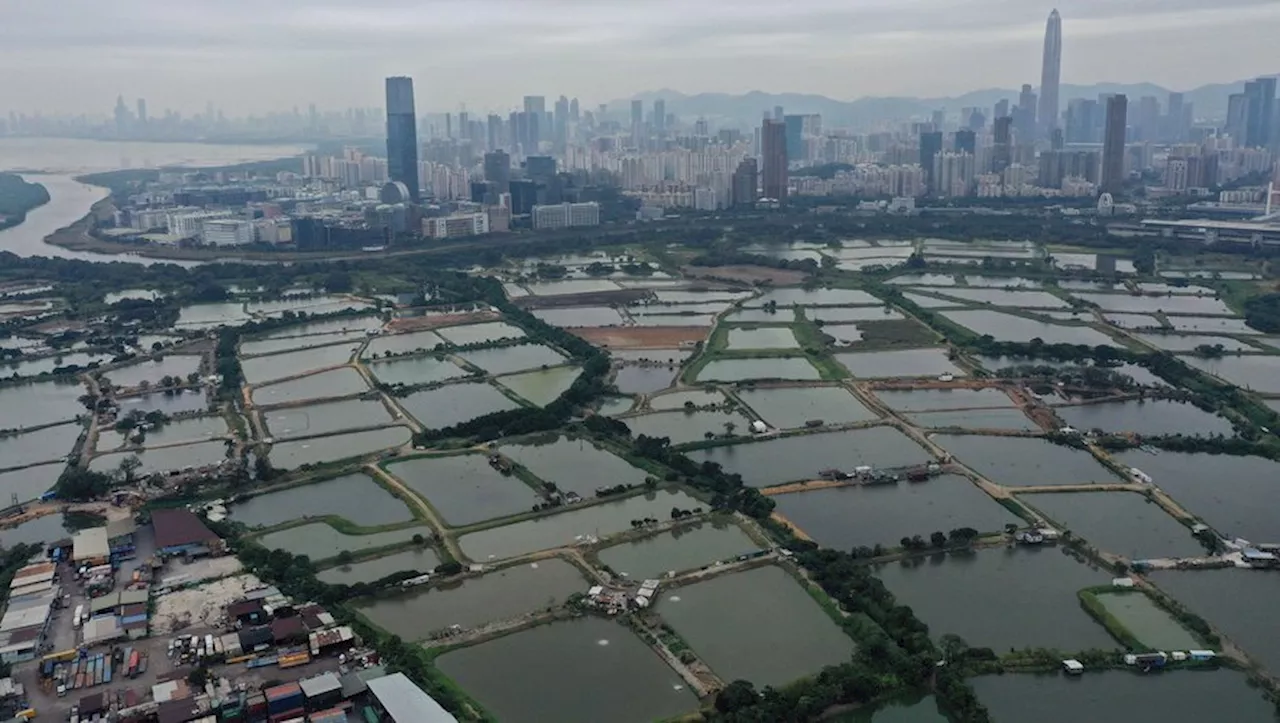 A Hong Kong, un plan géant de développement urbain grignote villages et marais