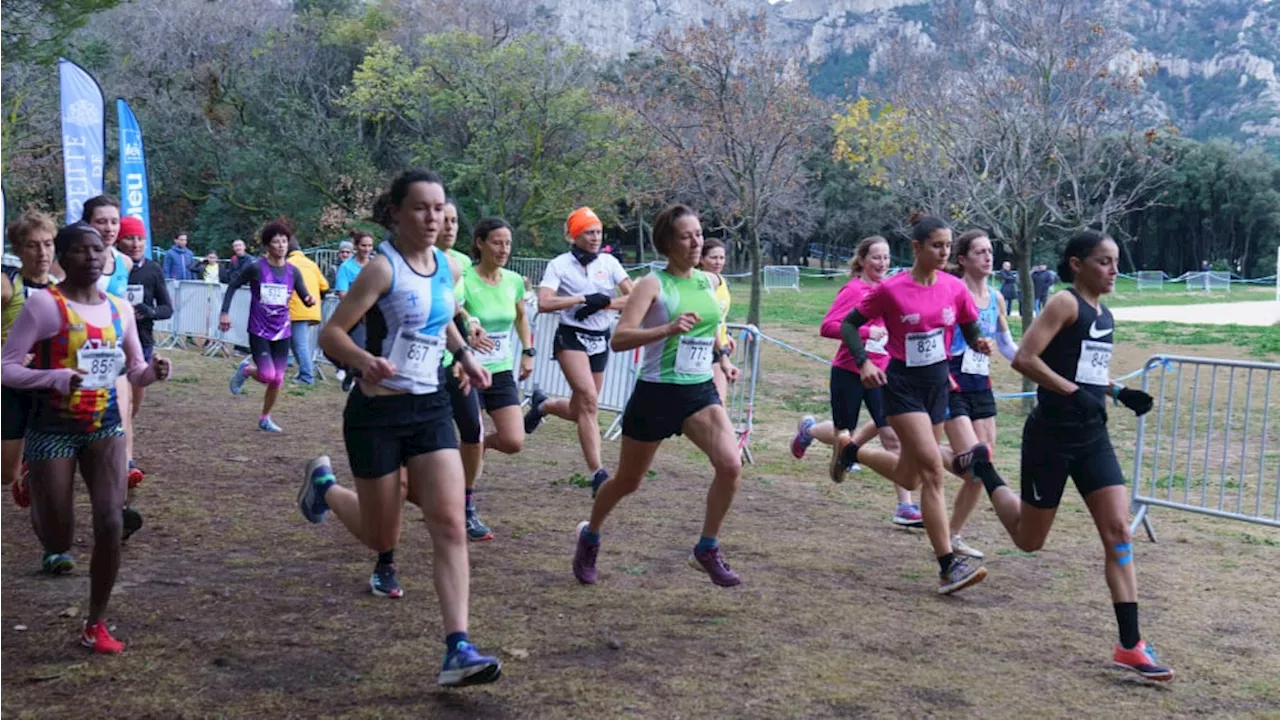 Athlétisme : la grande histoire du cross de Marseille, qui prend ses quartiers à Pastré ce dimanche