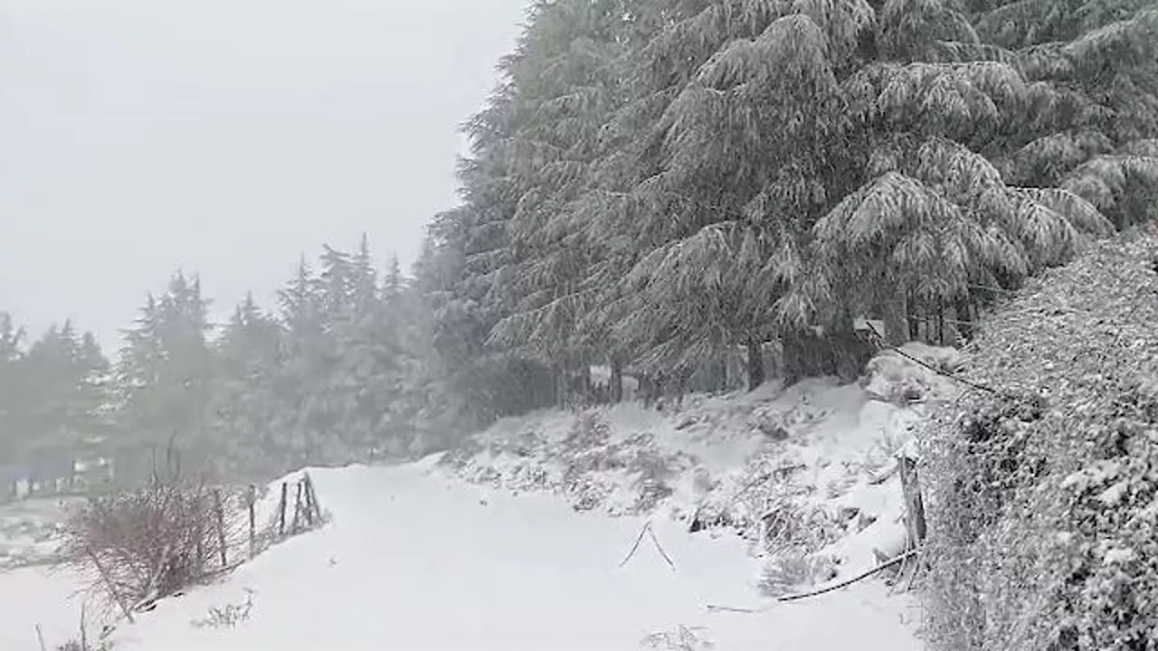 Maltempo, prima neve della stagione in Sardegna: caduti 10 cm sui monti del Gennargentu