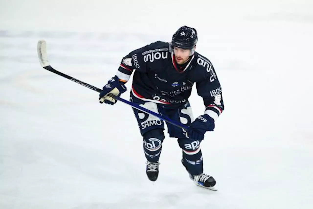 Angers se rassure contre Marseille en Ligue Magnus, Rouen enchaîne