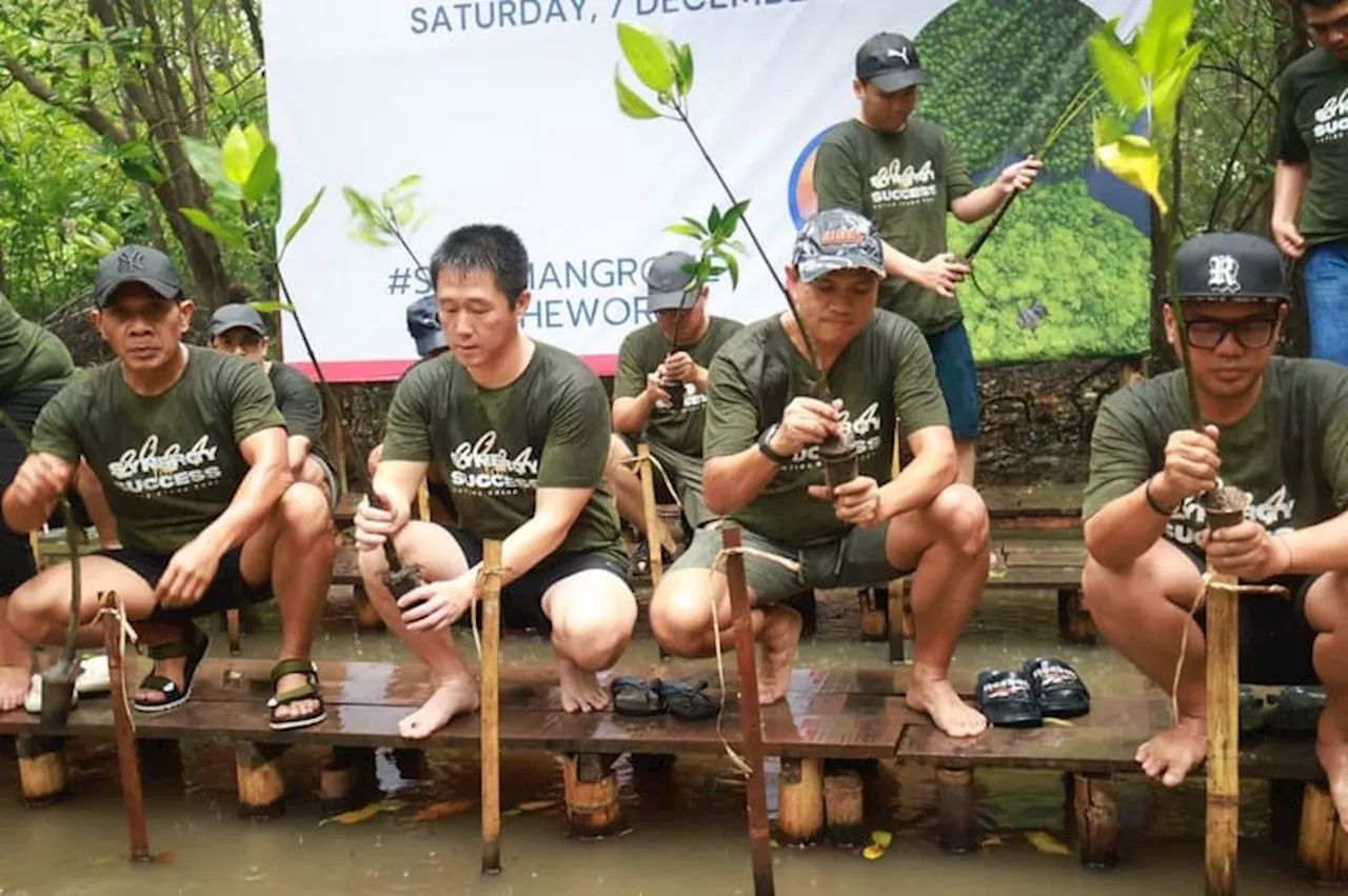 Penanaman Pohon Bakau Jaga Keberlanjutan Ekosistem Pesisir