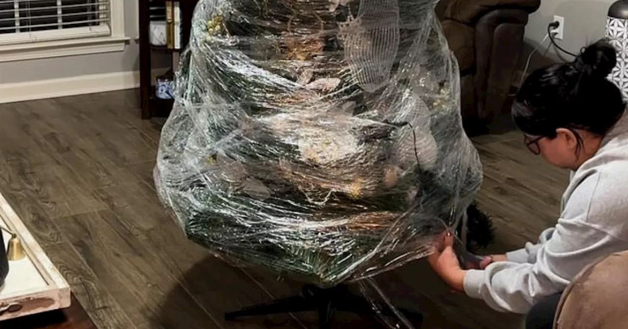 Genius Christmas tree hack revealed and you won't believe the results