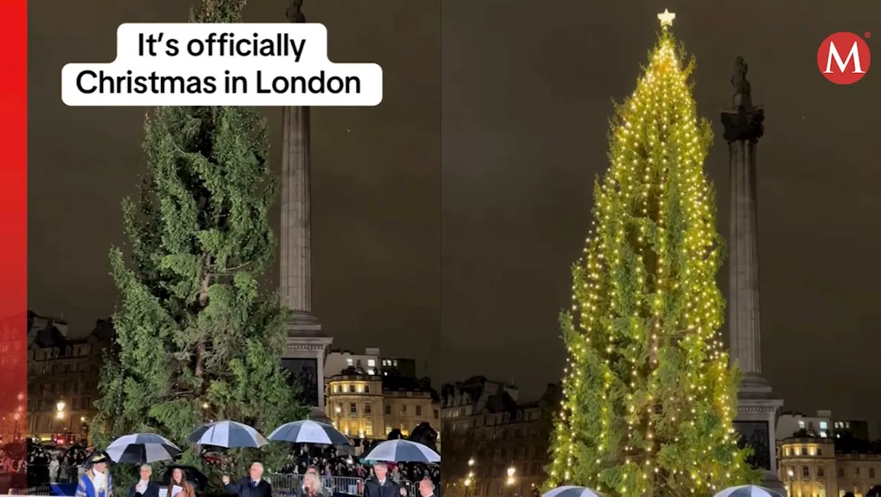 Árbol de Navidad en Londres se viraliza por apariencia: “está mejor el de mi rancho”