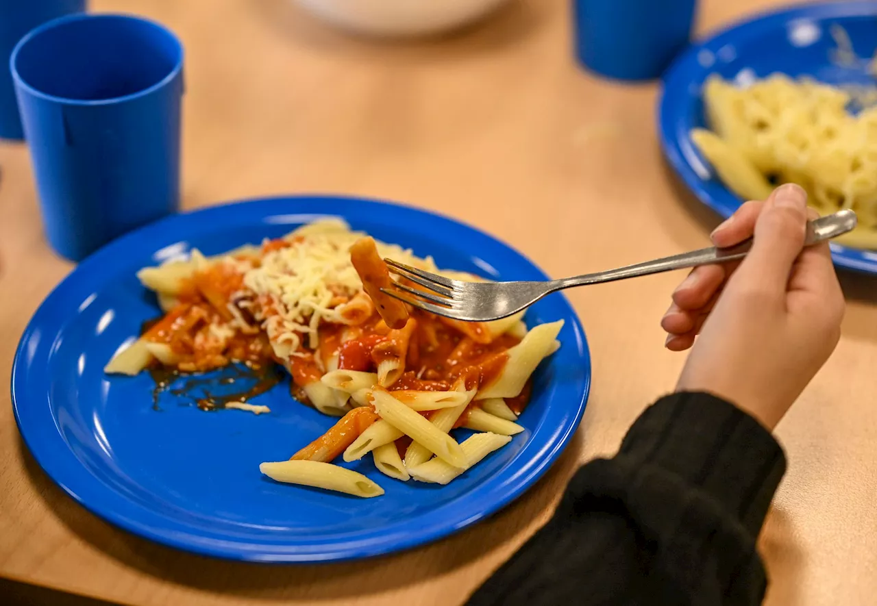 SPD-Generalsekretär will kostenfreies Mittagessen in Schulen