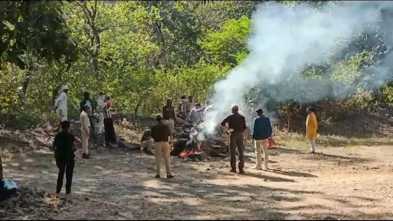 दो तेंदुओं के बीच में जमकर हुआ जंग, फिर जो हुआ वो हैरान कर देगा