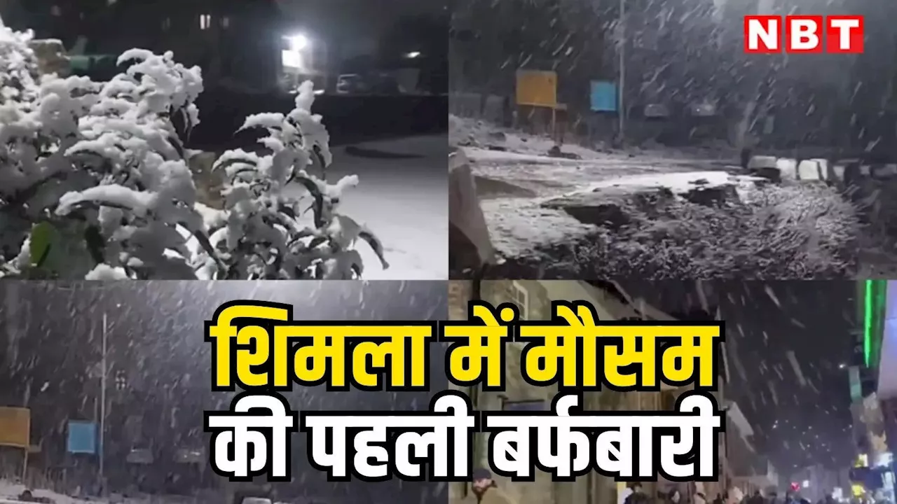 Snowfall In Shimla: शिमला में सीजन की पहली बर्फबारी, दशकों बाद दिसंबर में हुआ ऐसा, हिमाचल के ऊंचाई वाले इलाके भी बर्फ से लकदक