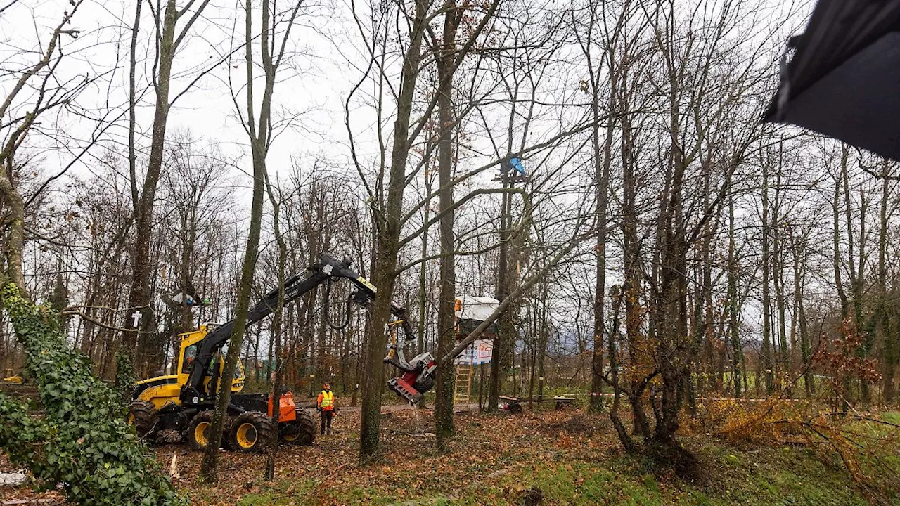 Baden-Württemberg: Polizei: Ruhige Nacht nach Räumung im Wald in Freiburg