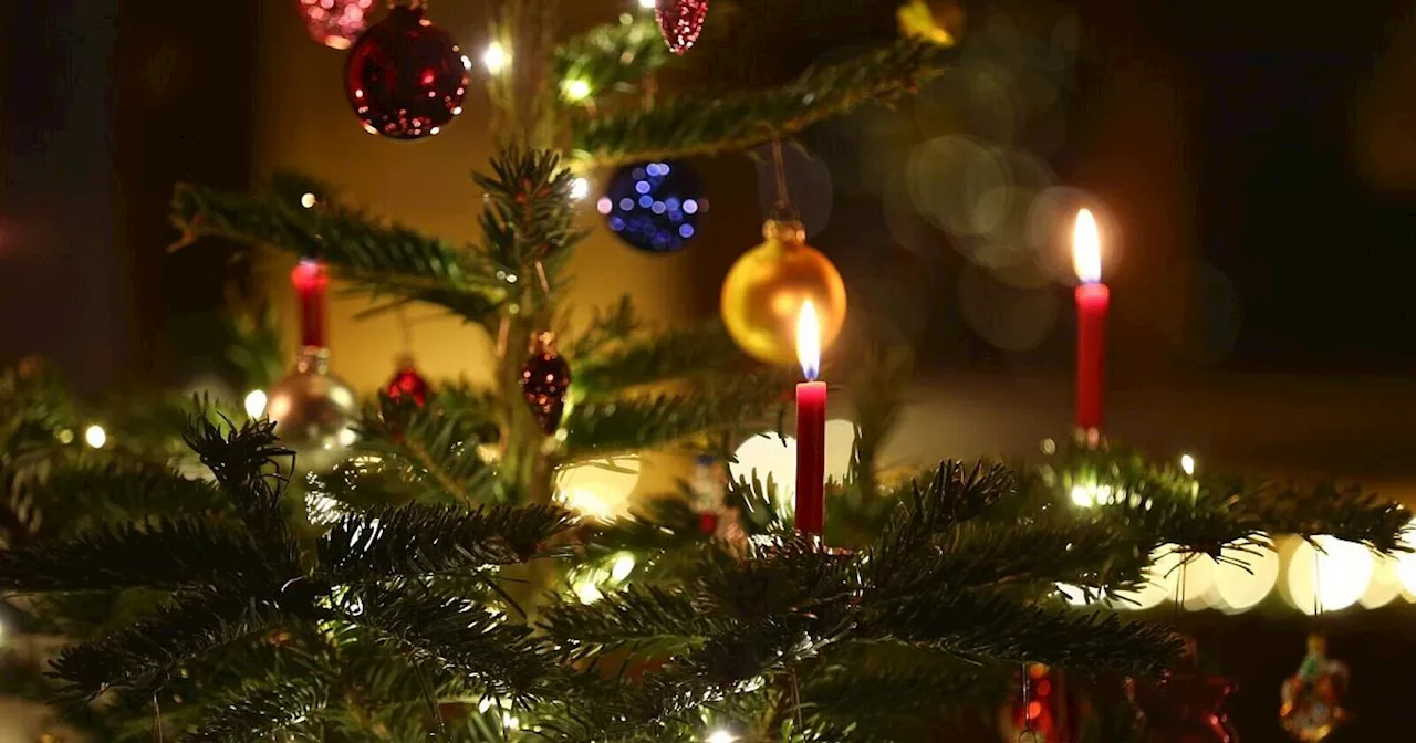 Früher war später Lametta - zeigt eine Tannenbaum-Umfrage