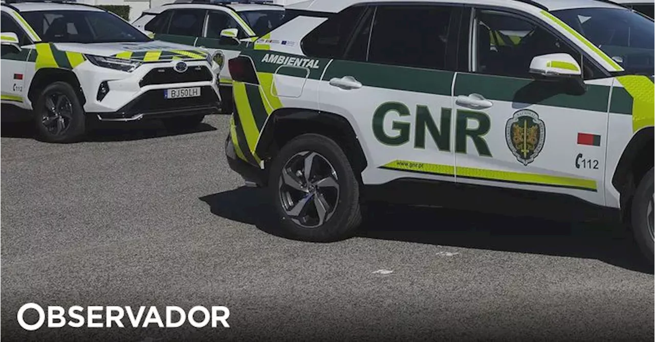 Operação conjunta da GNR e PSP deteve 59 pessoas, apreendeu droga e duas armas