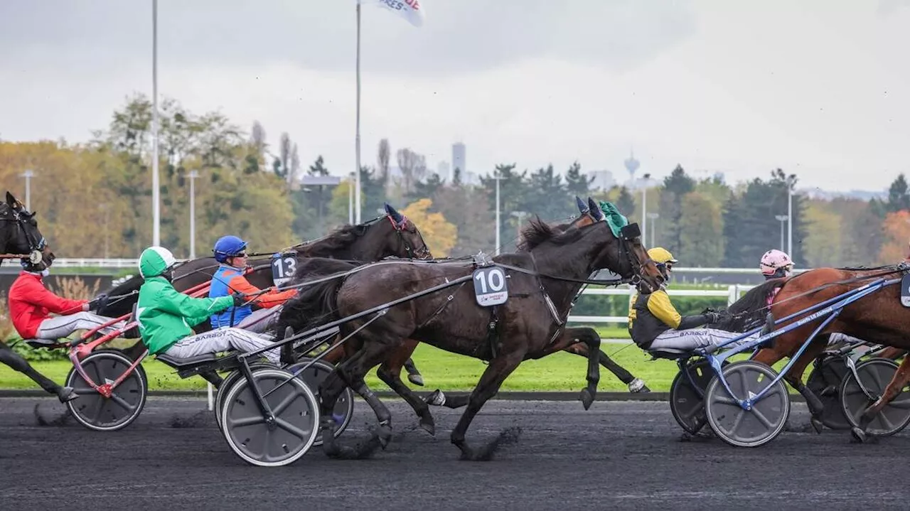 La deuxième course qualificative pour le prix d’Amérique a lieu ce dimanche