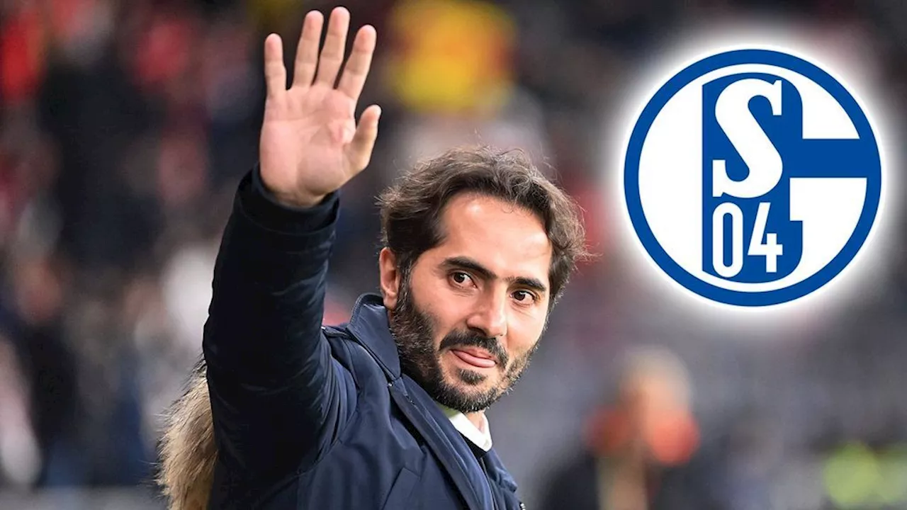 FC Schalke 04: Hamit Altintop spricht über mögliche Rückkehr