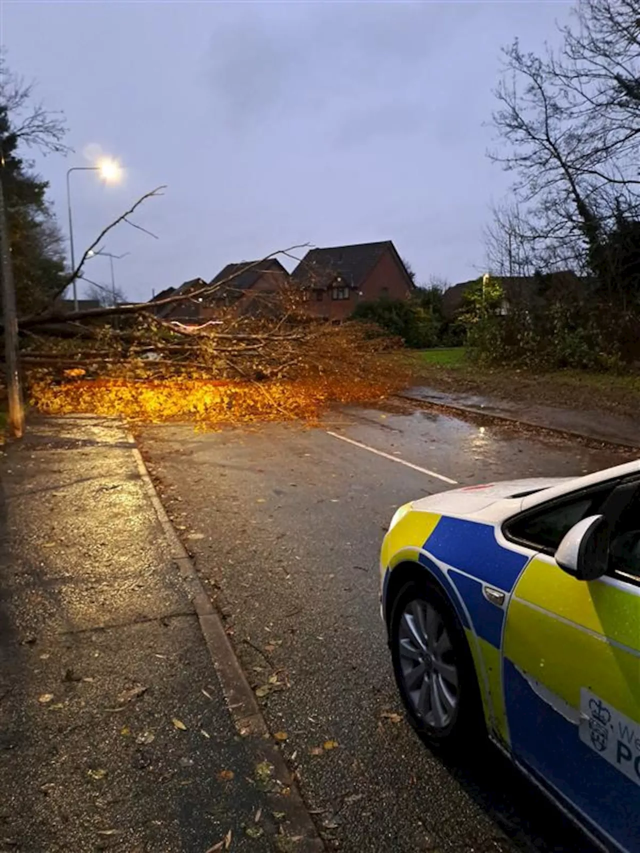 customers in West Midlands waiting to get electric back on after Storm Darragh chaos