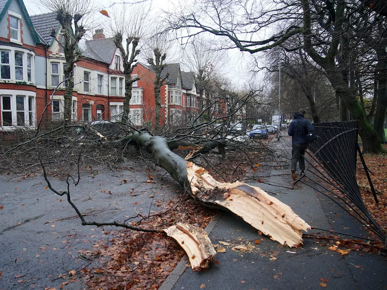 Further disruption expected as strong winds continue in wake of Storm Darragh