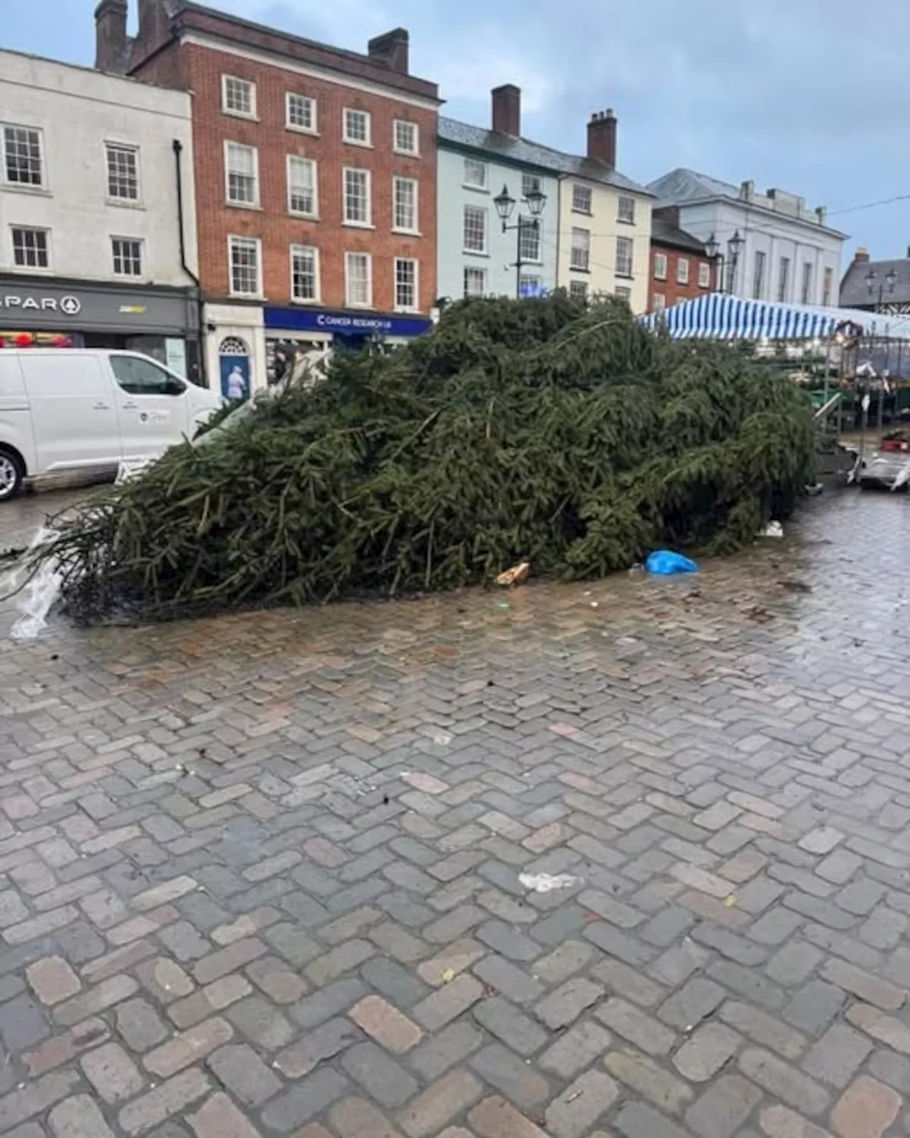 Ludlow's Christmas tree felled by wind during Storm Darragh