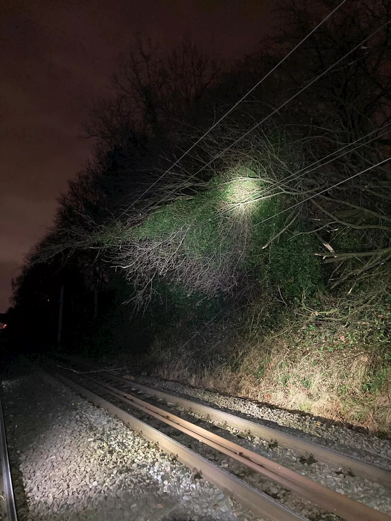 Rail disruptions in West Midlands as trees fall on tracks and damage overhead wires