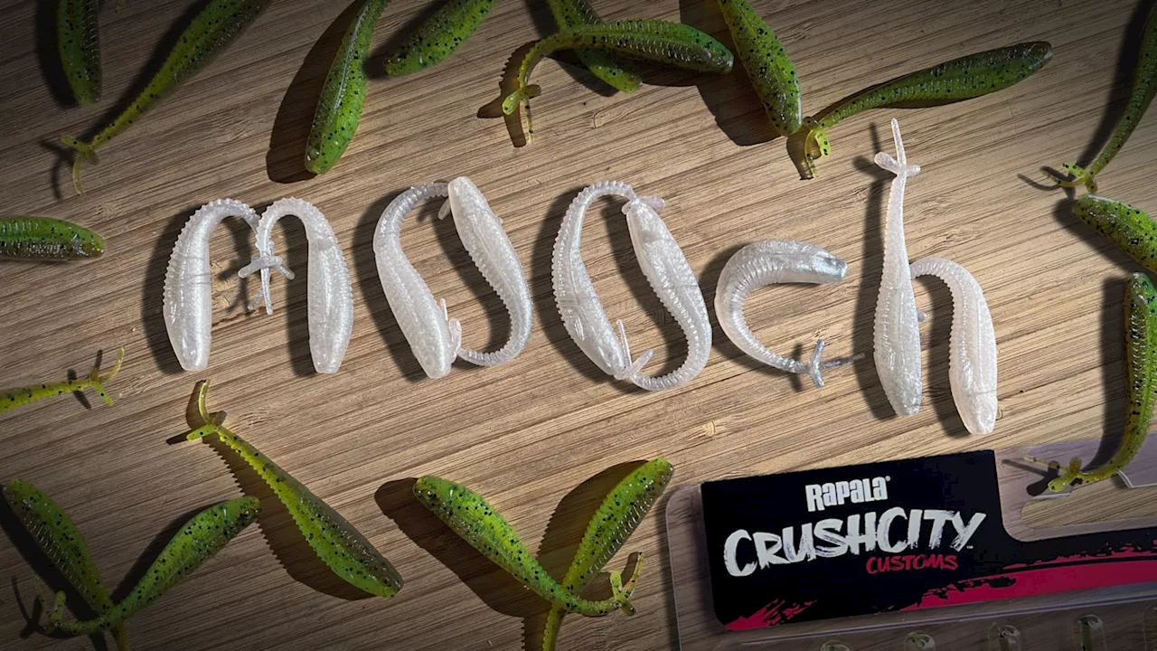 The Best Bass Lure of 2024: Crush City Mooch Minnow Dominates Tournaments