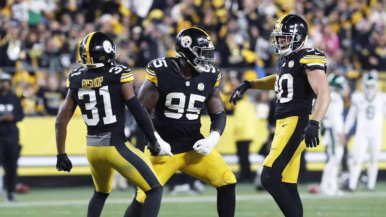 Watch: Pittsburgh Steelers DT Grabs Crazy Interception