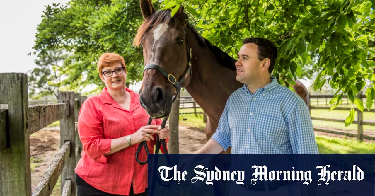 Marise Payne and Stuart Ayres go their separate ways