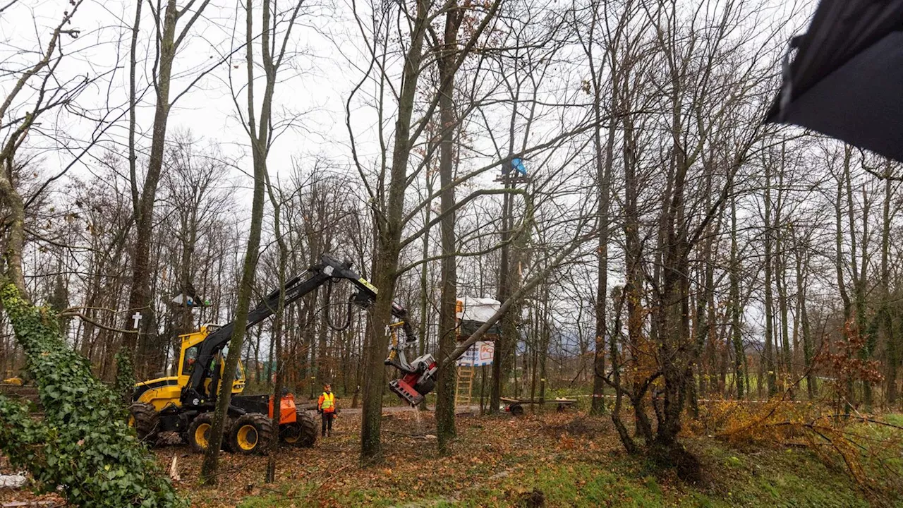 Großeinsatz: Polizei: Ruhige Nacht nach Räumung im Wald in Freiburg